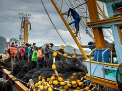 ABK WNI Diberi Makan Umpan Ikan Bau dan Daging 13 Bulan dari Freezer