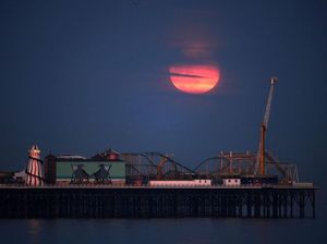 Siap-siap Lihat Bulan Purnama Stroberi Malam Ini