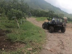 Foto: Seru Abis, Naik Mobil Buggy Keliling Kebun Apel Malang