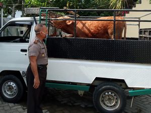 Cerita Pencuri Sapi di Pacitan yang Tertangkap di Check Point