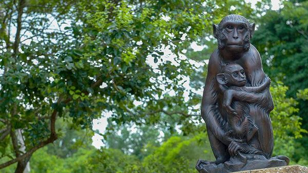 Patung-patung Ini Penghormatan untuk Hewan Percobaan Sains