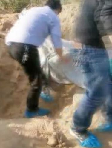 Screenshot video