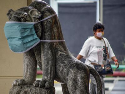 Patung Hewan di Bogor Ikut Pakai Masker Penangkal Corona