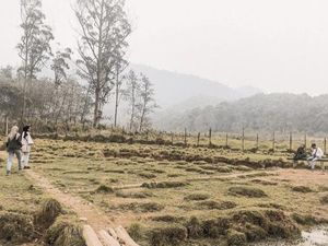 Ranca Upas yang Bikin Rindu