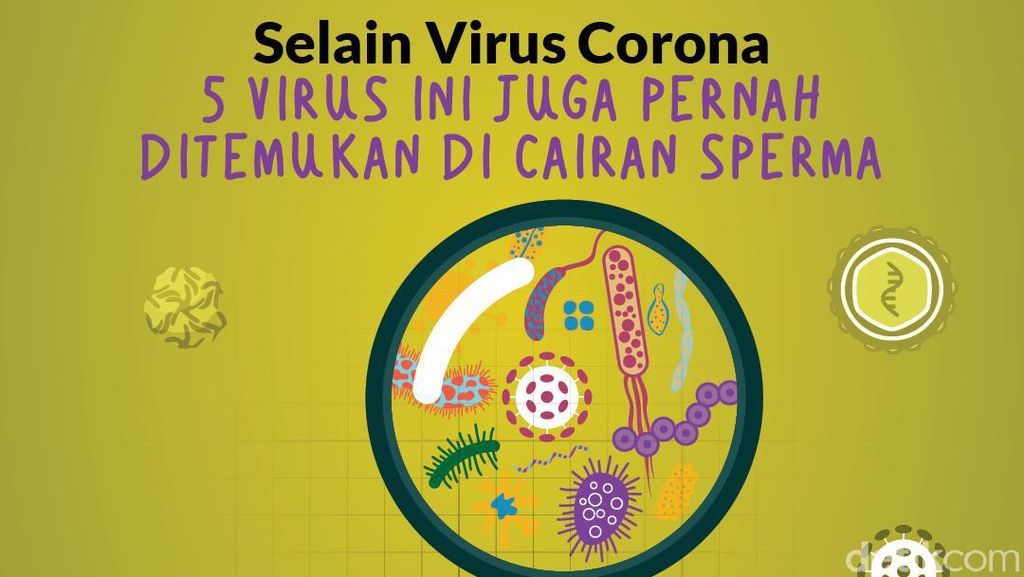 Selain Corona, 5 Virus Ini Juga Ditemukan di Cairan Sperma Selain Corona, 5 Virus Ini Juga Ditemukan di Cairan Sperma