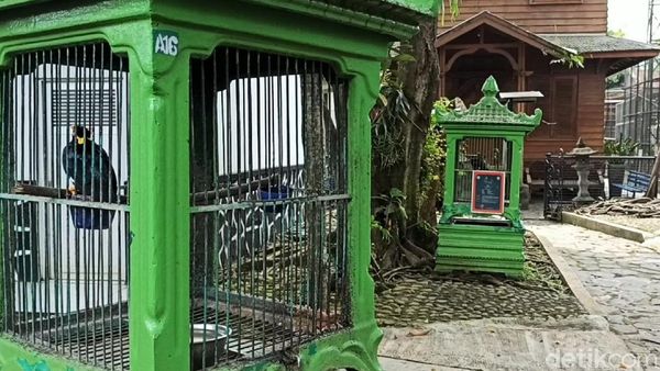 Bertandang ke Taman Satwa Garut yang Kini Sepi Gegara Pandemi