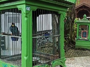 Bertandang ke Taman Satwa Garut yang Kini Sepi Gegara Pandemi