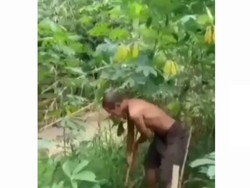 Kepergok Mencuri Singkong, Si Pemilik Justru Izinkan Karena Alasan Ini