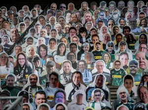 Belasan Ribu Suporter Kardus Siap Ramaikan Stadion di Jerman Ini