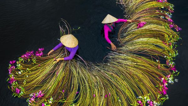 Deretan Foto Pemenang Sony Photography Awards 2020