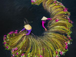 Deretan Foto Pemenang Sony Photography Awards 2020 Deretan Foto Pemenang Sony Photography Awards 2020