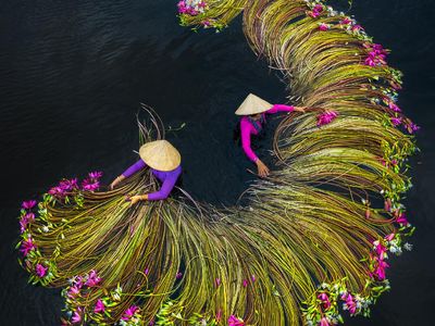 Deretan Foto Pemenang Sony Photography Awards 2020