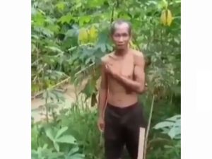 Tren Tiktok Aneh hingga Kisah Haru Pencuri Singkong yang Kelaparan Tren Tiktok Aneh hingga Kisah Haru Pencuri Singkong yang Kelaparan