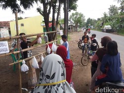 Kerja Sama untuk Bertahan Hidup