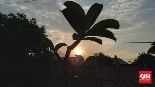 Hasil Foto Kamera Samsung Galaxy A01