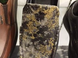 Waduh! Mal Kelamaan Tutup, Barang-barang Mewah Ini Diselimuti Jamur