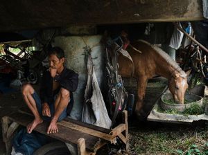 Kusir Delman Ibu Kota Bertahan Hidup di Tengah Pandemi Corona