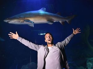 Yang Membedakan Manusia dengan Hewan Tak Hanya Kecerdasan Yang Membedakan Manusia dengan Hewan Tak Hanya Kecerdasan