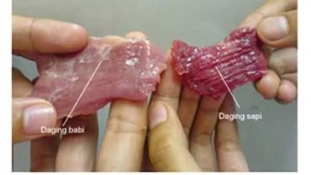 daging sapi dan babi