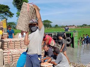 Sopir Ngantuk, Truk Angkut 5 Ton Telur Terguling ke Sawah di Klaten