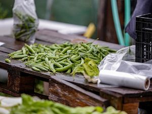 Aksi Berbagi Relawan di Solo Lewat Jemuran Sayuran