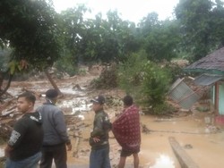 Tinjau Longsor di Leuwisadeng, Bupati Bogor: Rawan Sekali, Harus Penghijauan