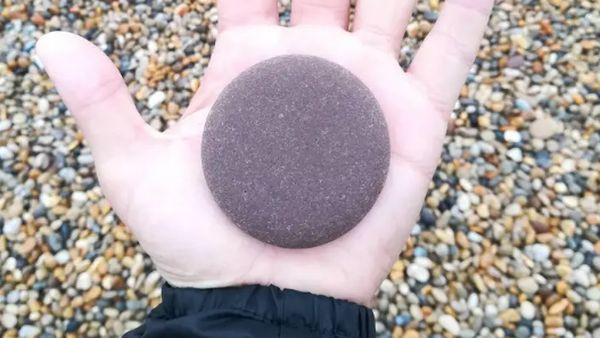 Foto yang Jadi Bukti Keseimbangan Alam