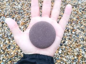 Foto yang Jadi Bukti Keseimbangan Alam