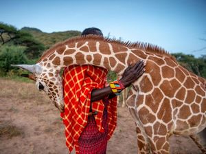 Deretan Foto Natural World Photography Terbaik 2020