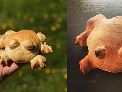 Roti Kodok Jadi Tren Baking di Tengah Karantina COVID-19