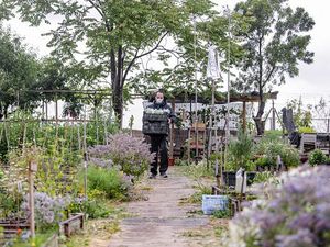 Hadapi Masa Pandemi COVID -19 Warga Madrid Tanam Sayuran