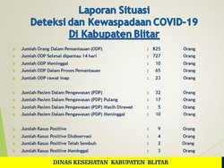 Satu Pasien Positif di Kabupaten Blitar Dinyatakan Sembuh