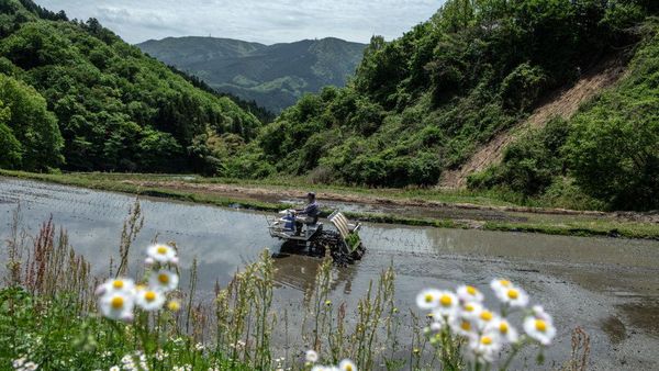 Petani Jepang Memasuki Musim Tanam
