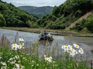 Petani Jepang Memasuki Musim Tanam