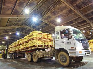 Antisipasi Musim Tanam, Distribusi Pupuk Dipercepat