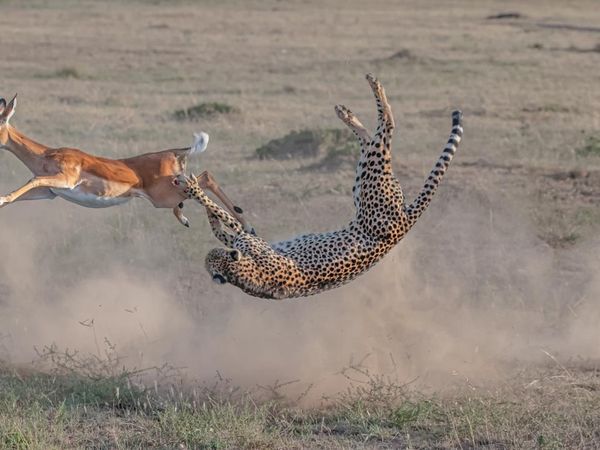 Jujur! Karya Jawara Kontes Foto Alam Ini Bikin Mata Takjub
