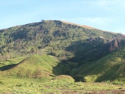 Hijau Bak Permadani, Ini Bukit Teletubbies di Dunia Nyata