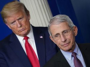 Trump Bingung Kenapa Banyak yang Tidak Setuju dengannya Soal Corona Trump Bingung Kenapa Banyak yang Tidak Setuju dengannya Soal Corona