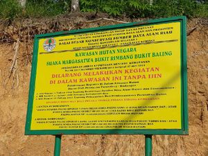 Mengunjungi SM Rimbang Baling di Riau, Masih Ada Illegal Logging saat Pandemi