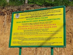 Mengunjungi SM Rimbang Baling di Riau, Masih Ada Illegal Logging saat Pandemi
