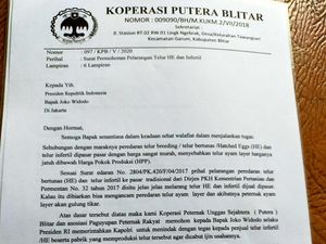 Tolong, Pak Presiden, Tangkap Penjual Telur Breeding agar Harga Stabil Tolong, Pak Presiden, Tangkap Penjual Telur Breeding agar Harga Stabil