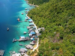 Mengenang Kejayaan Petani Cengkeh Sebelum Reformasi di Perbatasan RI