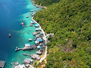 Mengenang Kejayaan Petani Cengkeh Sebelum Reformasi di Perbatasan RI Mengenang Kejayaan Petani Cengkeh Sebelum Reformasi di Perbatasan RI