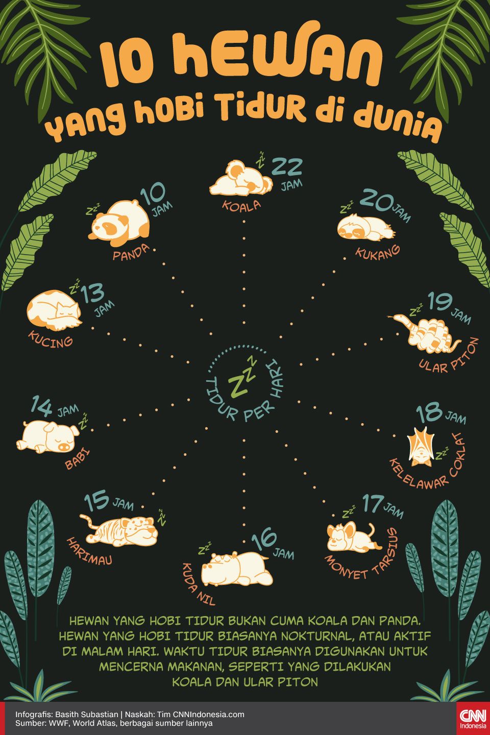 Infografis 10 Hewan yang Hobi Tidur di Dunia