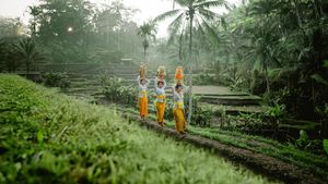 Seperti Ini Keindahan Sawah Sistem Subak di Bali