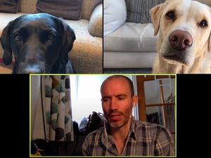 Viral Reporter Olahraga Rapat dengan 2 Anjingnya Via Zoom