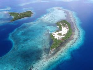 Pulau Pribadi Tempat Orang Kaya Ngumpet dari Corona Pulau Pribadi Tempat Orang Kaya Ngumpet dari Corona