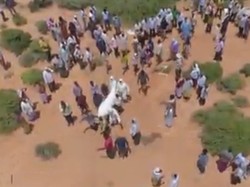 Video Petugas Makam di Somalia Kewalahan Urus Jenazah