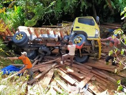 2 Pelaku Pembalakan Liar di Aceh Ditangkap Usai Truk Alami Kecelakaan