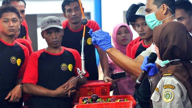 Kementerian Pertanian melalui Badan Karantina Pertanian (Barantan) mencatat adanya peningkatan permohonan fasilitasi ekspor buah manggis ke Cina sebanyak 111% pada periode kuartal pertama tahun 2020 dibanding periode yang sama di tahun sebelumnya.